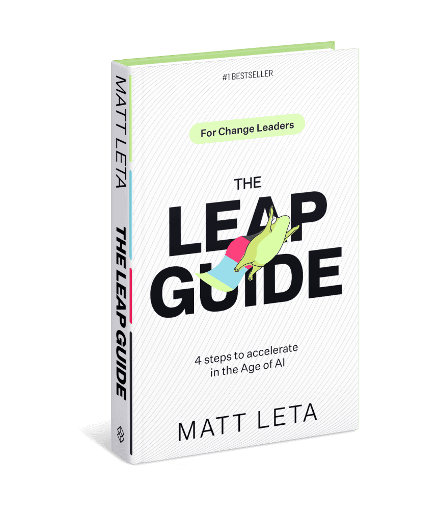 Leap Guide Cover